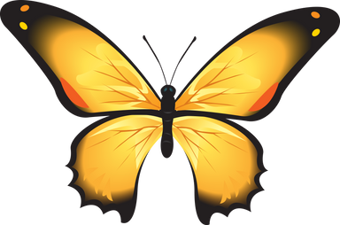 Illustration of a Butterfly